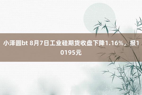 小泽圆bt 8月7日工业硅期货收盘下降1.16%，报10195元