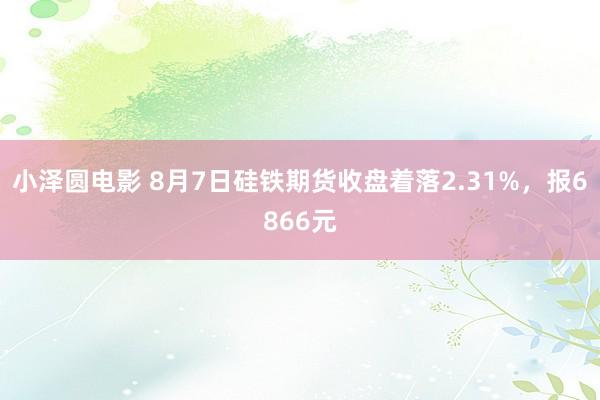 小泽圆电影 8月7日硅铁期货收盘着落2.31%，报6866元