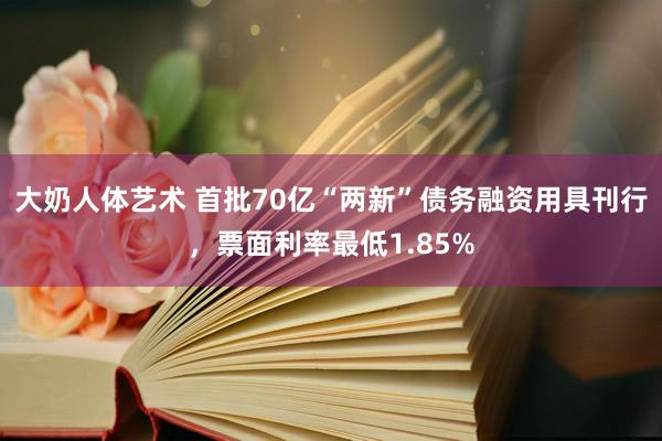 大奶人体艺术 首批70亿“两新”债务融资用具刊行，票面利率最低1.85%