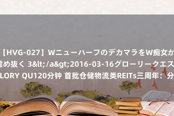 【HVG-027】WニューハーフのデカマラをW痴女が焦らし寸止めで虐め抜く 3</a>2016-03-16グローリークエスト&$GLORY QU120分钟 首批仓储物流类REITs三周年：分成“粗豪”，多元化、分散化是风控重心