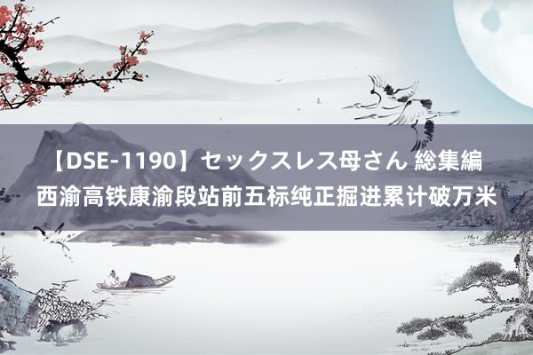 【DSE-1190】セックスレス母さん 総集編 西渝高铁康渝段站前五标纯正掘进累计破万米