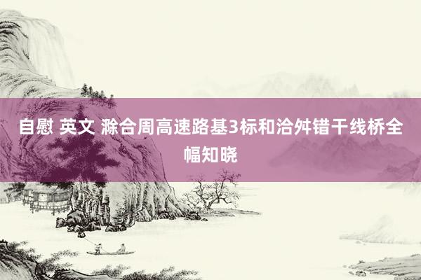 自慰 英文 滁合周高速路基3标和洽舛错干线桥全幅知晓