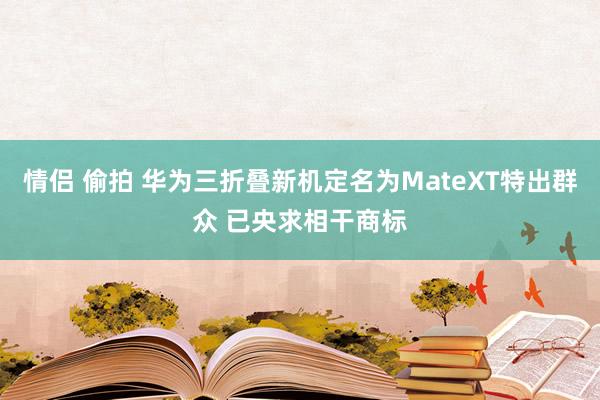 情侣 偷拍 华为三折叠新机定名为MateXT特出群众 已央求相干商标