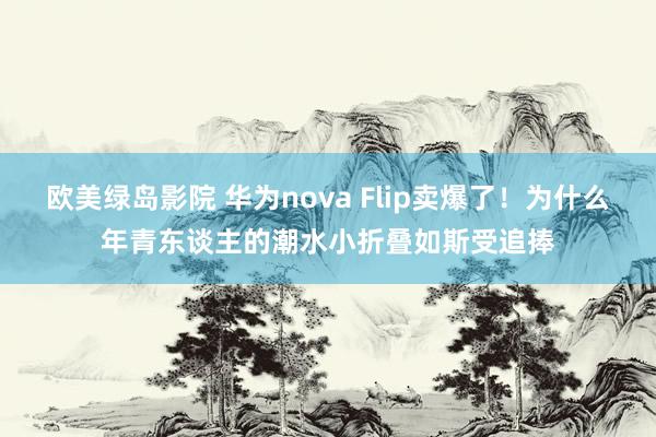 欧美绿岛影院 华为nova Flip卖爆了！为什么年青东谈主的潮水小折叠如斯受追捧