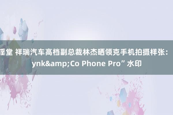 淫淫堂 祥瑞汽车高档副总裁林杰晒领克手机拍摄样张：“Lynk&Co Phone Pro”水印