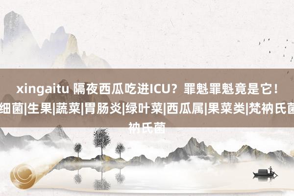 xingaitu 隔夜西瓜吃进ICU？罪魁罪魁竟是它！|细菌|生果|蔬菜|胃肠炎|绿叶菜|西瓜属|果菜类|梵衲氏菌