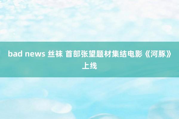 bad news 丝袜 首部张望题材集结电影《河豚》上线