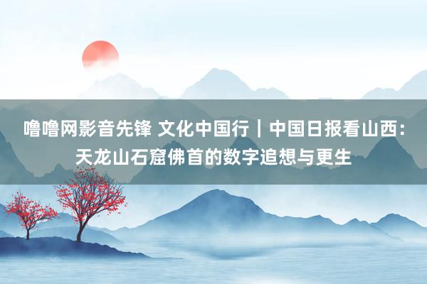 噜噜网影音先锋 文化中国行｜中国日报看山西：天龙山石窟佛首的数字追想与更生