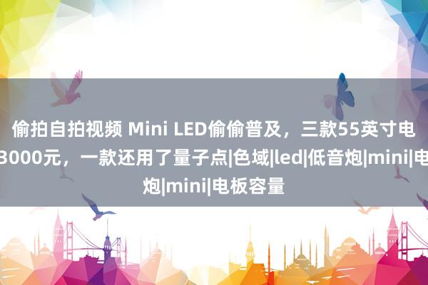 偷拍自拍视频 Mini LED偷偷普及，三款55英寸电视不及3000元，一款还用了量子点|色域|led|低音炮|mini|电板容量