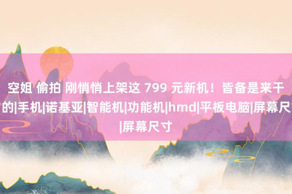 空姐 偷拍 刚悄悄上架这 799 元新机！皆备是来干与的|手机|诺基亚|智能机|功能机|hmd|平板电脑|屏幕尺寸