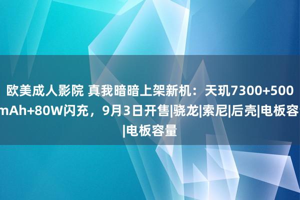 欧美成人影院 真我暗暗上架新机：天玑7300+5000mAh+80W闪充，9月3日开售|骁龙|索尼|后壳|电板容量